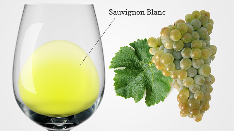 Nho-Sauvignon-Blanc