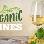 Tìm Hiểu Về Rượu Vang ORGANIC